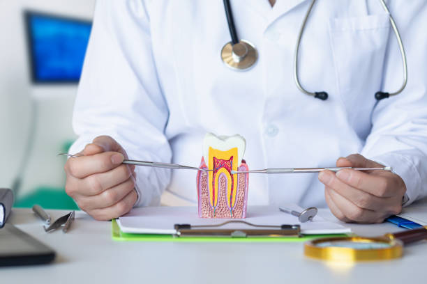 Best Emergency Treatment for Toothache in Mammoth, AZ